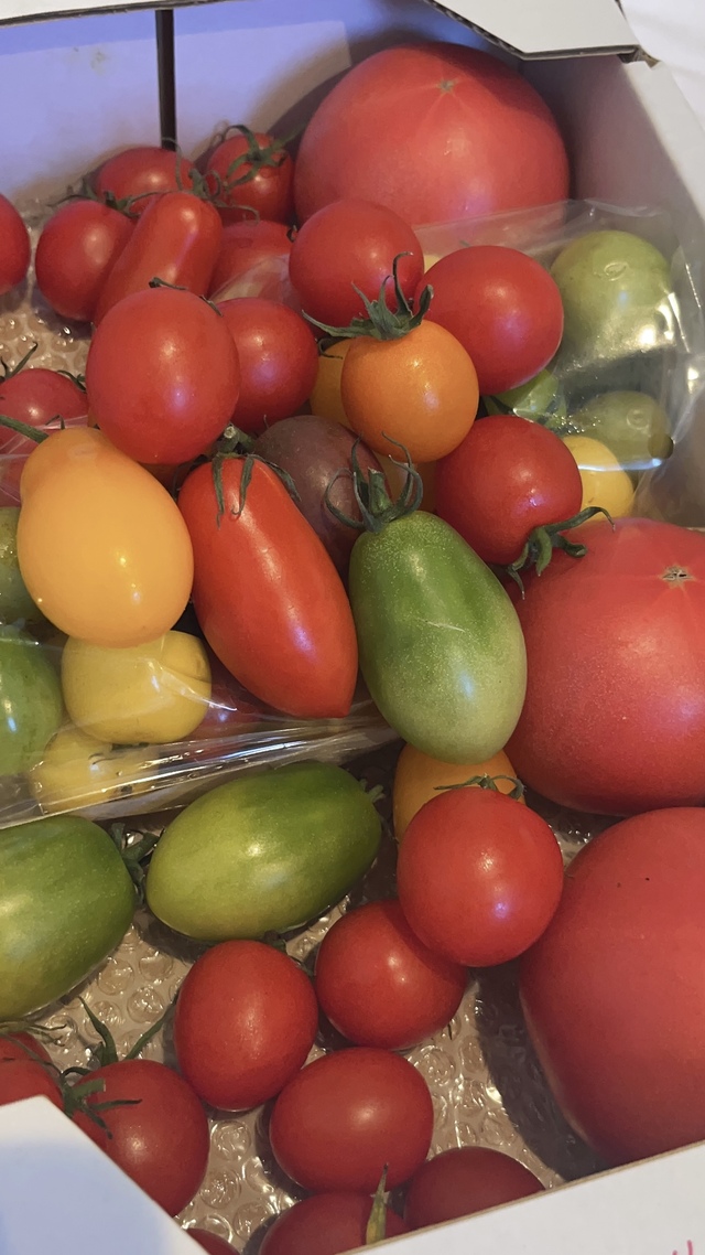 新しいことに発見