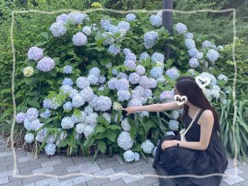 溶けそうな、、、