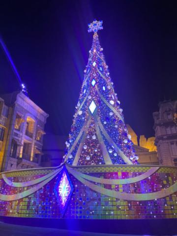 12月初日から…?