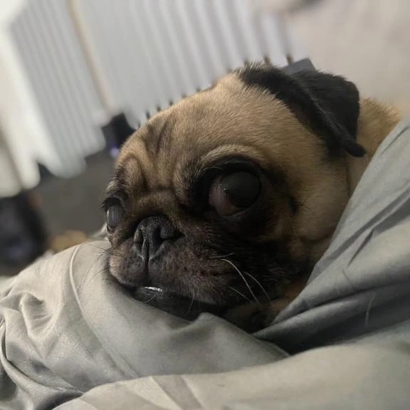 💜ありがとうございます