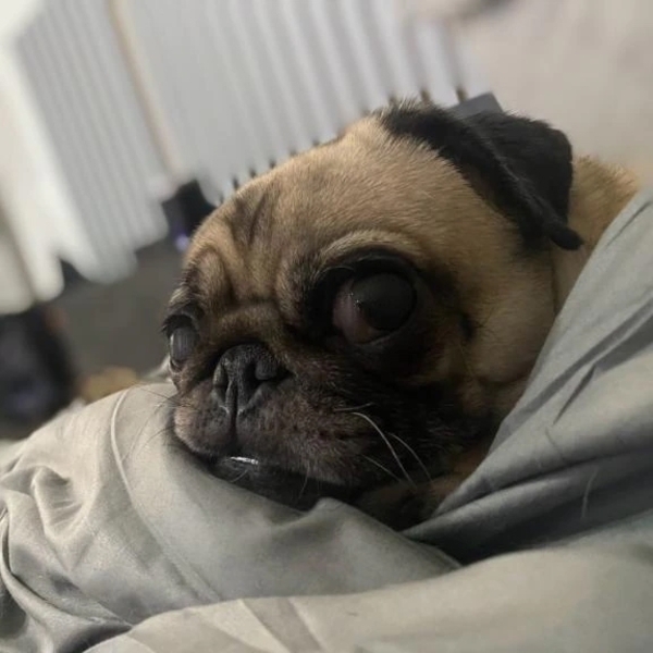 💜ありがとうございます