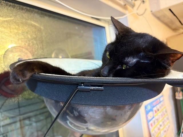 おはよう^_^
