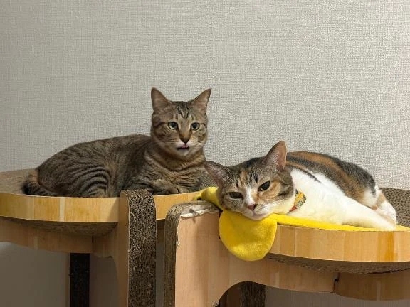 見てるよ♡