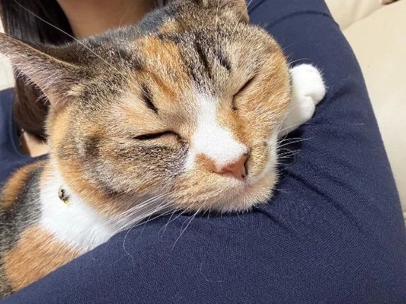 腕の中で♡
