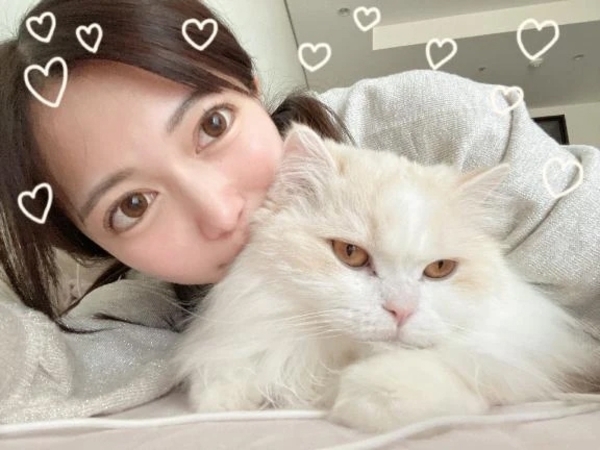 今日はおやすみ🐑💤