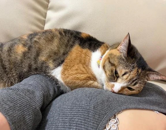 幸せ♡