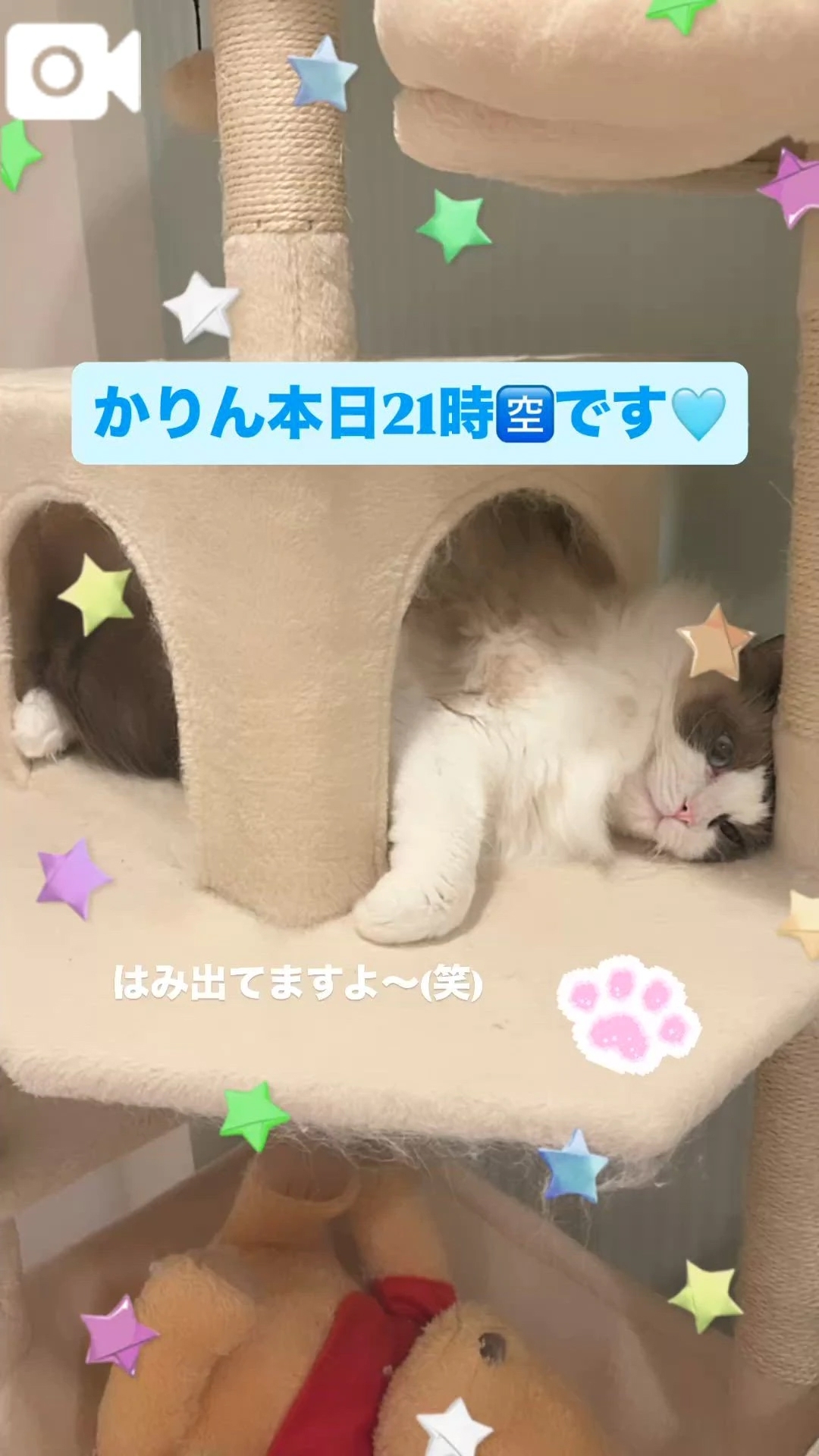 🍒本日出勤🍒
