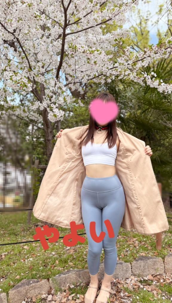 ★お花見日和★