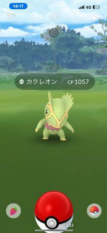 カクレオンきたー??