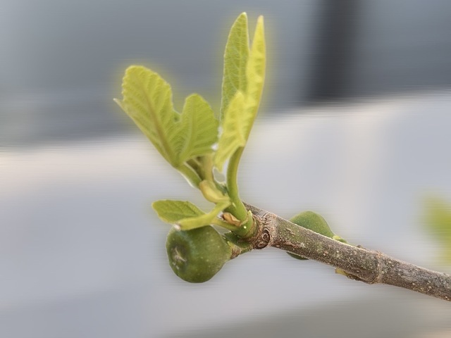 この春、変えたいこと