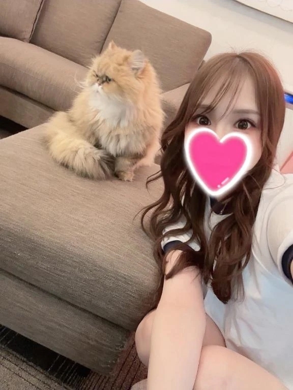 癒しは必要👍🏻⟡.·