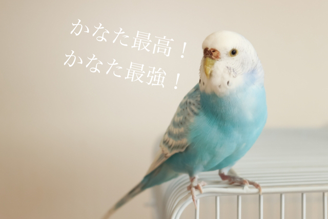 カナタ50の質問