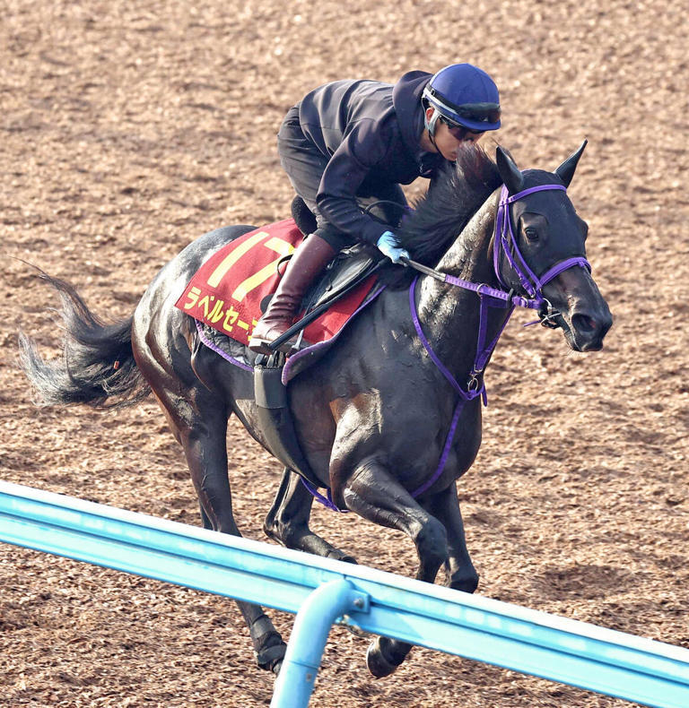 10月17日（萩野騎手騎乗ラベルセーヌ牝3才）