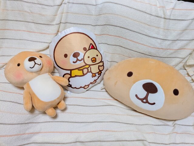 新しいラッコが加わったわけよ