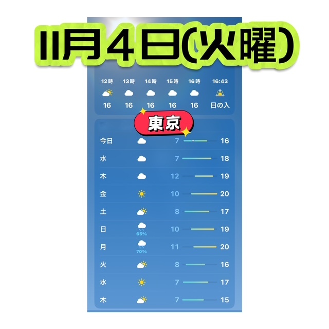 ～~スケジュール～