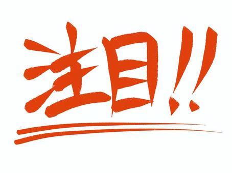 選べるコース♪