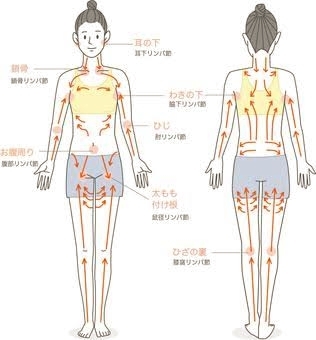 「リンパ詰まってますね②」
