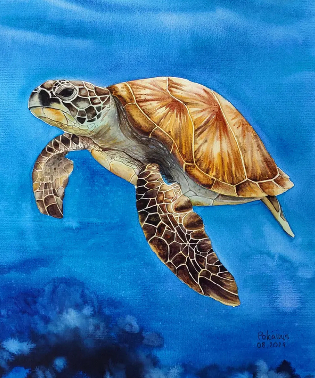 昨晩、亀を食べました🐢✨