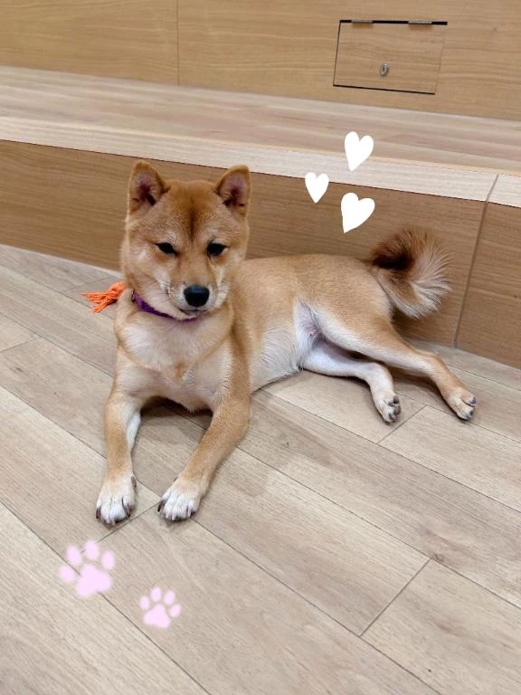 寒いねえ🎅🏻