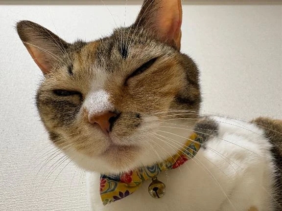 おねむねむ♡