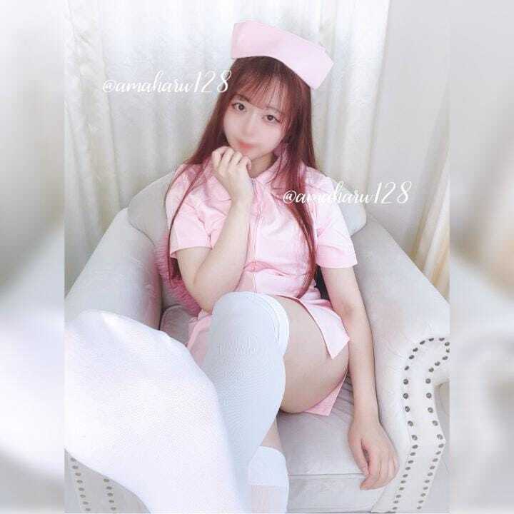 12月ご案内状況