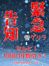 ☆ゲリラ割引（雪）☆