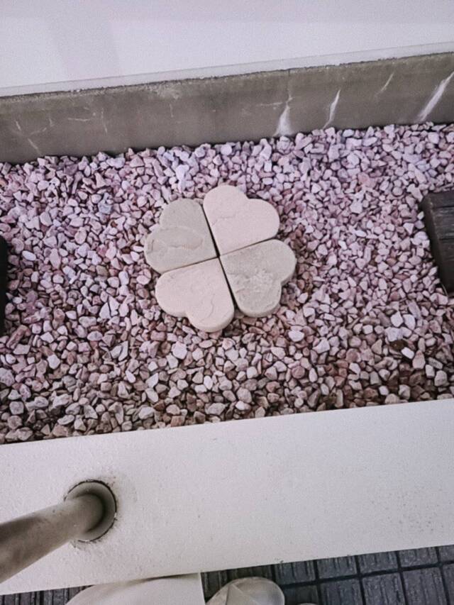 こんにちはꉂ🤗