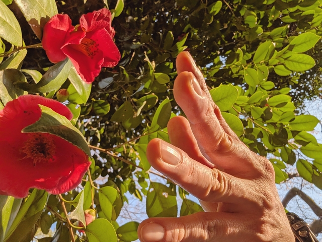 タッチタッチここにタッチ