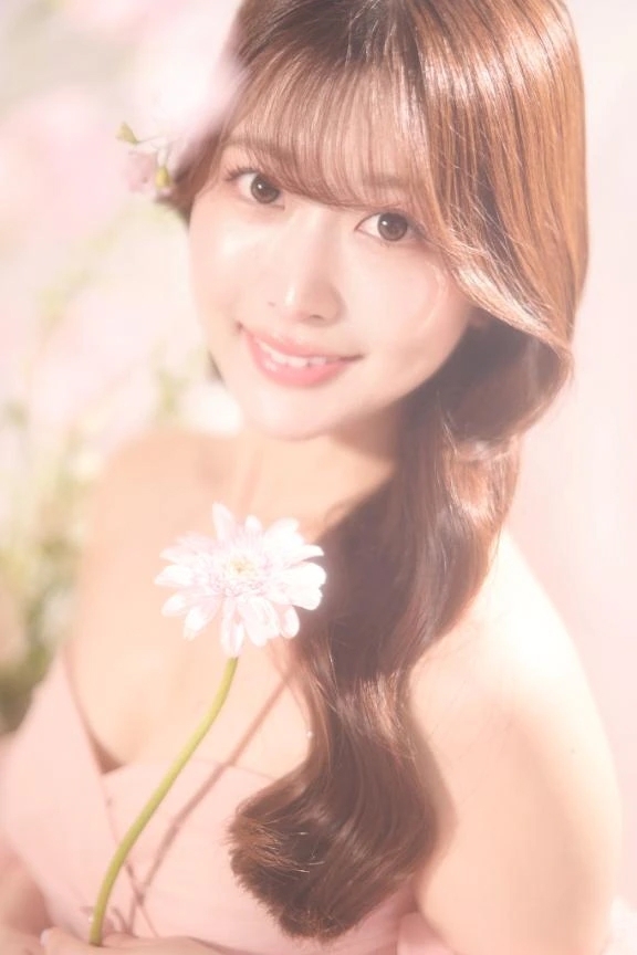🌸🌸🌸