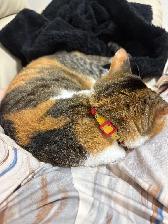 おまたのぬくもり♡