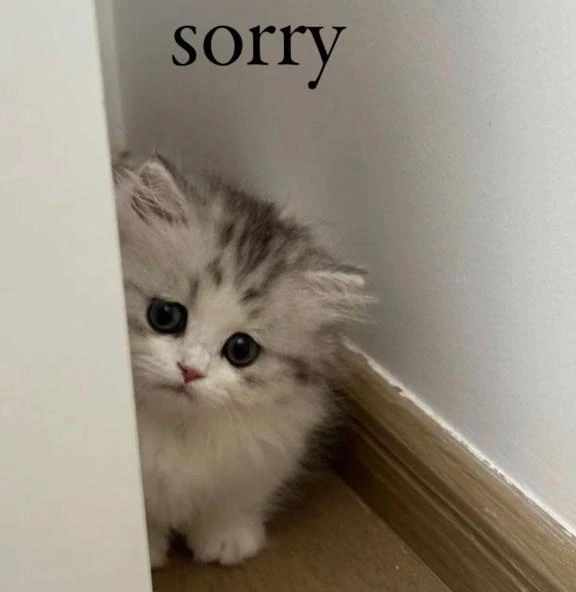 To Our International Customers