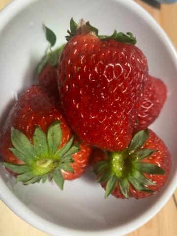 寝てリセットする。