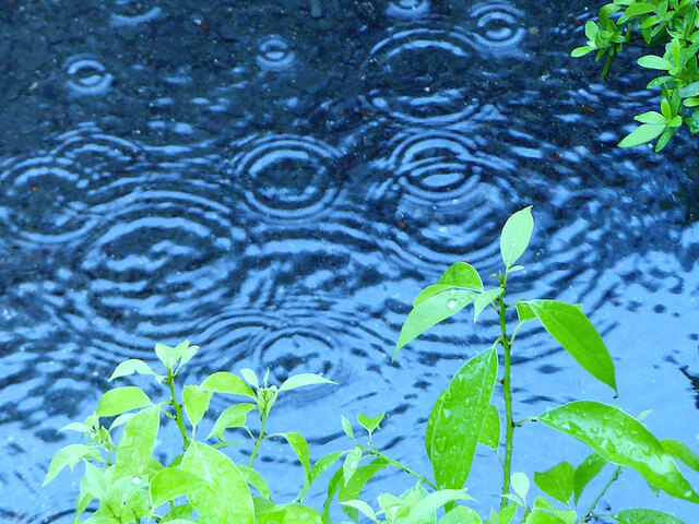 おはようございます☔️⚡️