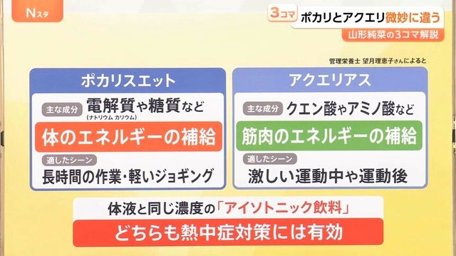 【番外編】ポカリとアクエリは微妙に違うのさ
