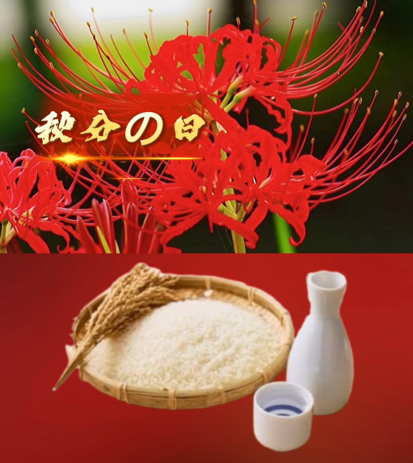 こんにちは