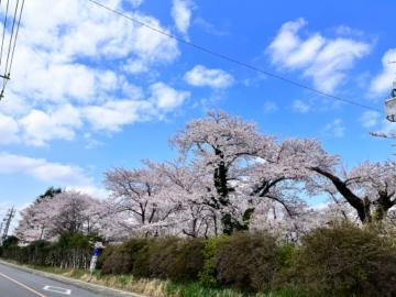 [お題]from:幸せであってほしいさん