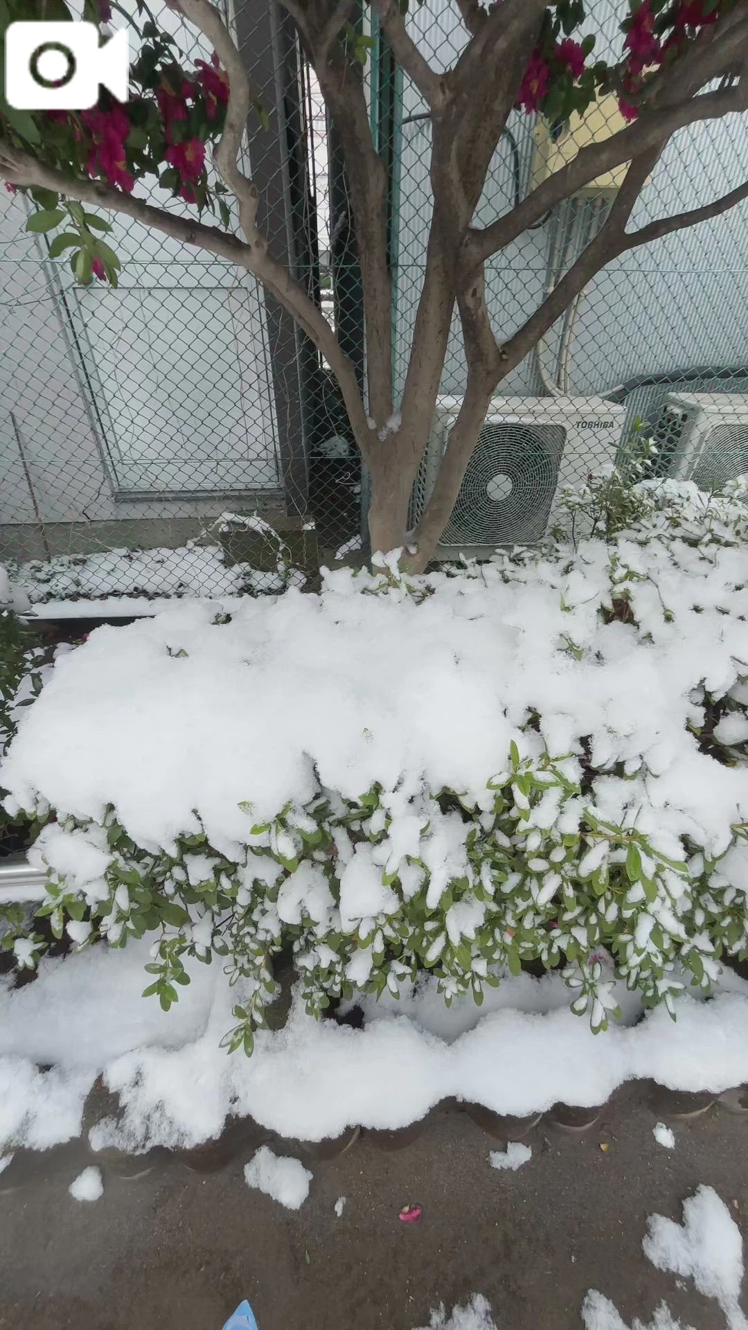 音痴が大熱唱😌🎤自覚のない音痴が好きな歌を歌ってみた❗️