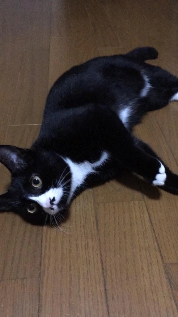 昨日もありがとう🌟