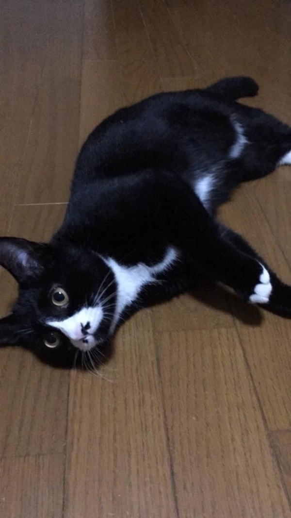 昨日もありがとう🌟