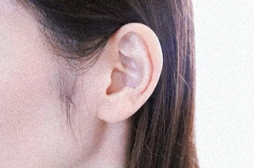 耳は第2の性器