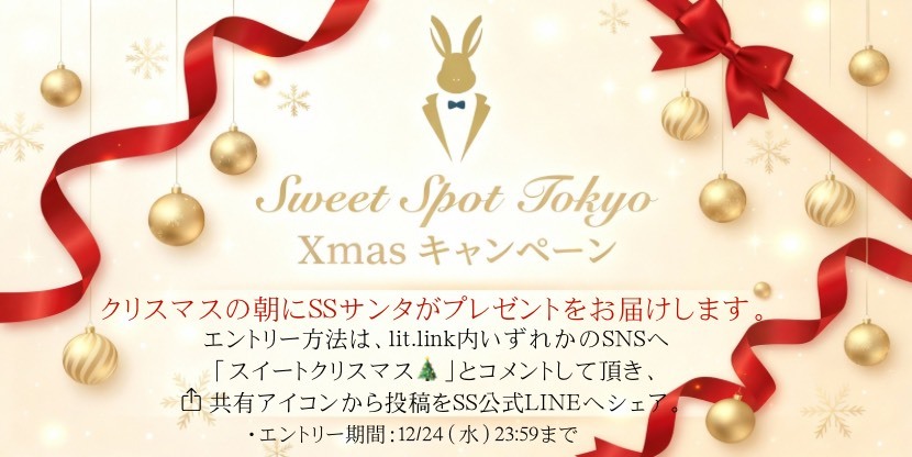 🎅SSサンタのクリスマスキャンペーン🎄⛄