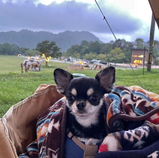 おはようございます☁️