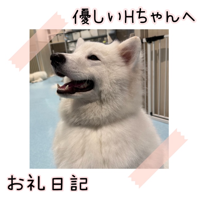 優しくてかわいいHちゃんへ