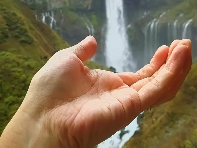 フォルダにある謎の一枚