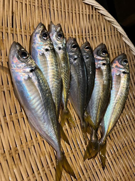 釣り始め🎣💕💕