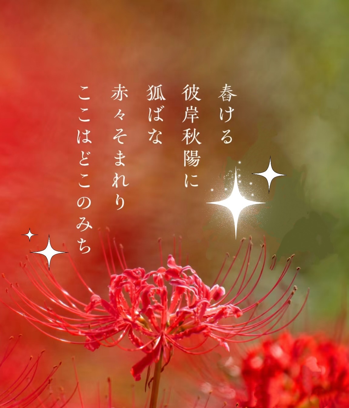 秋分の日（23日）