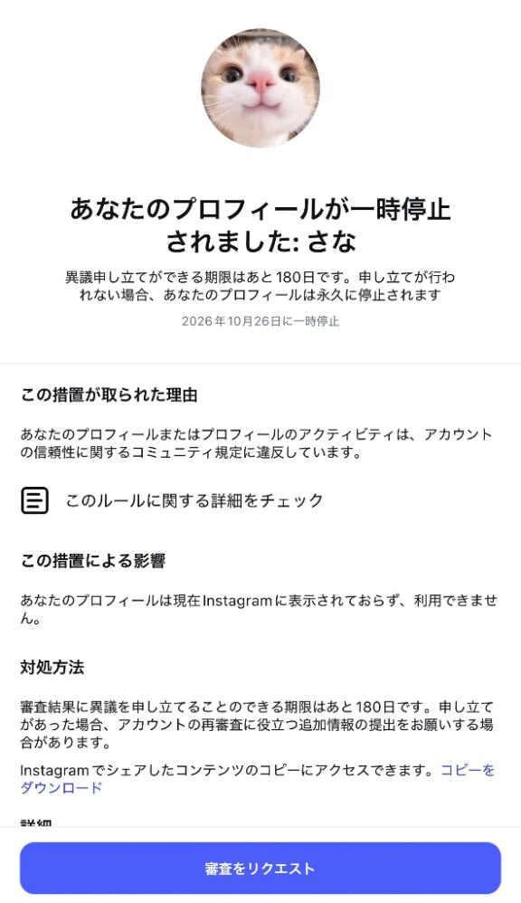 インスタ停止