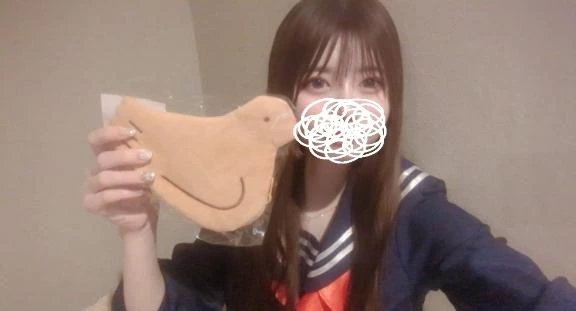 はとさんポーチ