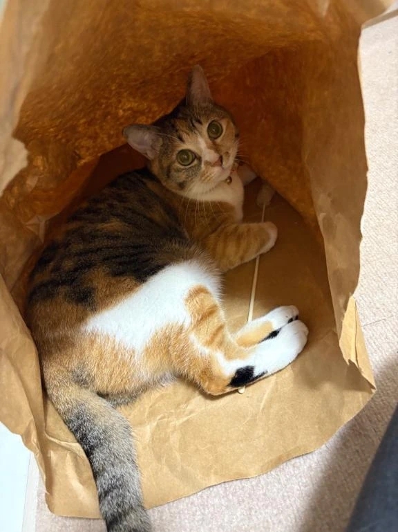 早く会いたい♡