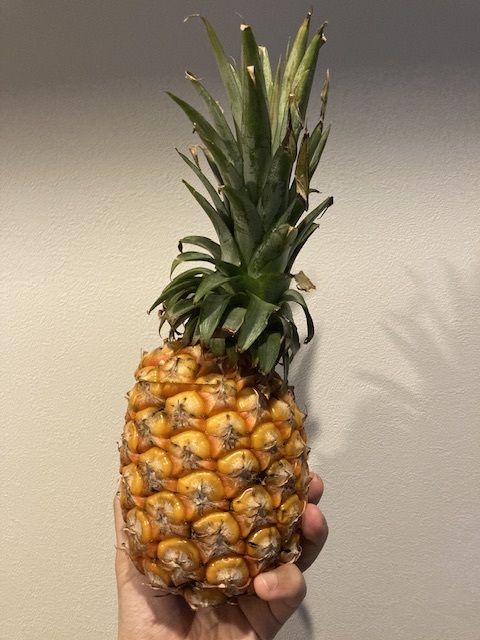 食卓にパイナップルを